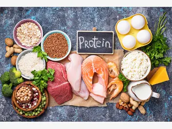 Ilustracja artykułu dieta proteinowa - zasady, jadłospis, przepisy, skuteczność, porady