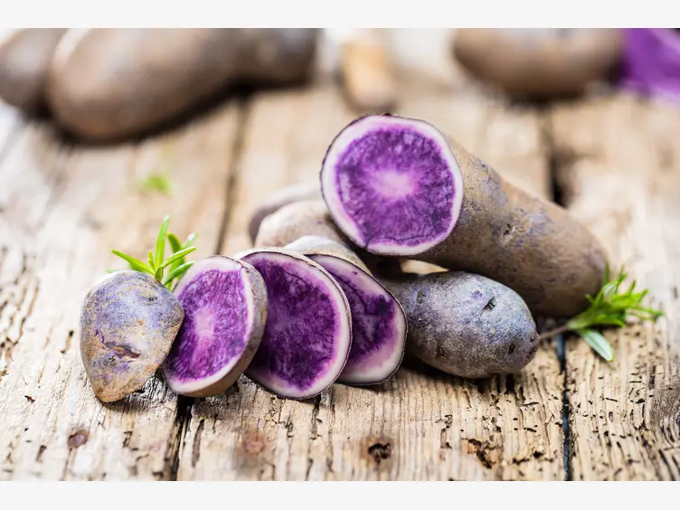 Ilustracja artykułu fioletowe ziemniaki – czy są zdrowe? co można z nich przygotować?