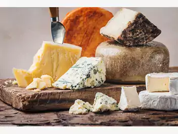 Ilustracja artykułu jak wykorzystać parmigiano-reggiano, pecorino i gorgonzola w codziennej kuchni?