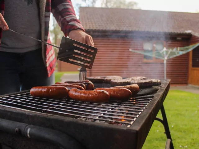Jaki grill wybrać na majówkę