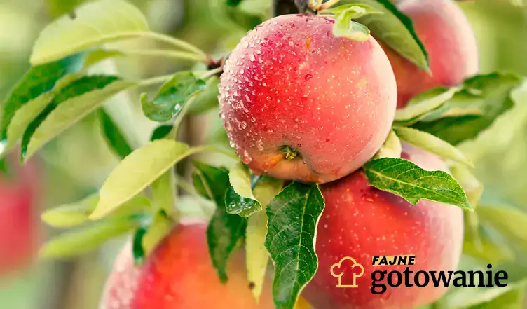 Zobacz ile może zrobić zjadanie jednego jabłka każdego dnia!