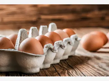 Ilustracja artykułu ile jajek można zjeść w ciągu tygodnia? poznaj zalecenia światowej organizacji zdrowia