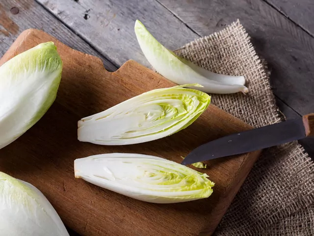 Właściwości prozdrowotne cykorii