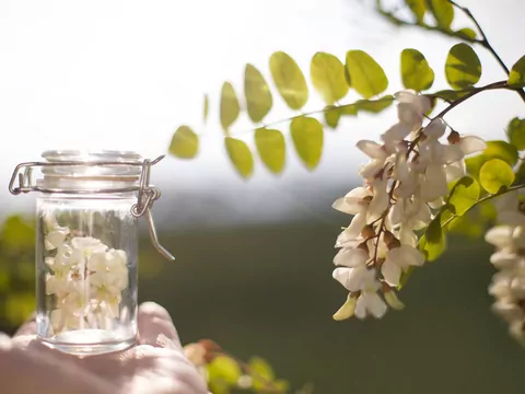 Naturalne sposoby na bezsenność i stres
