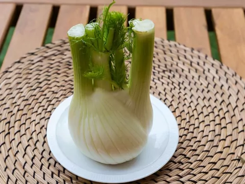 Fenkuł, czyli koper włoski