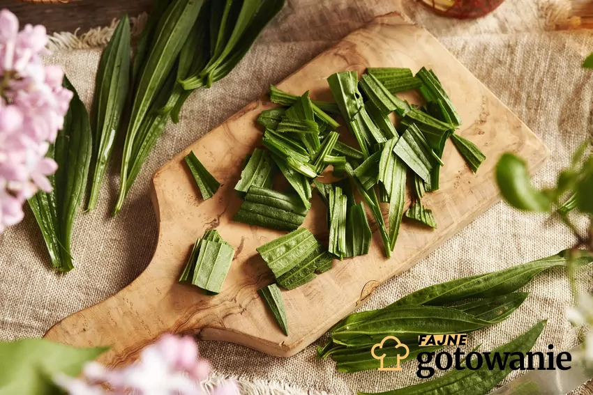 Babka lancetowata bywa również wykorzystywana w kuchni Pokrojone liście babki lancetowatej