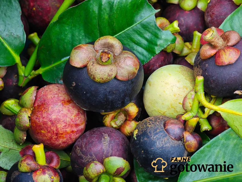 Mangostan wywodzi się z południowo-wschodnich rejonów Azji Świeże owoce mangostanu
