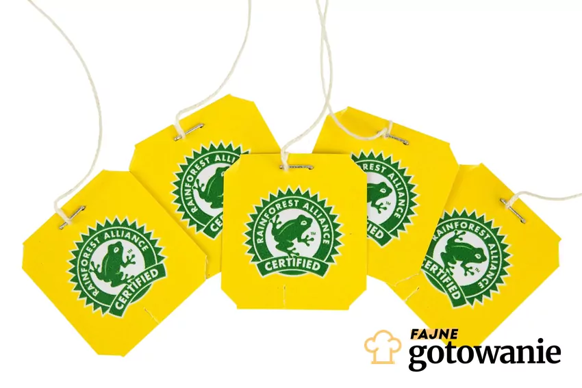 Logo z zieloną żabą