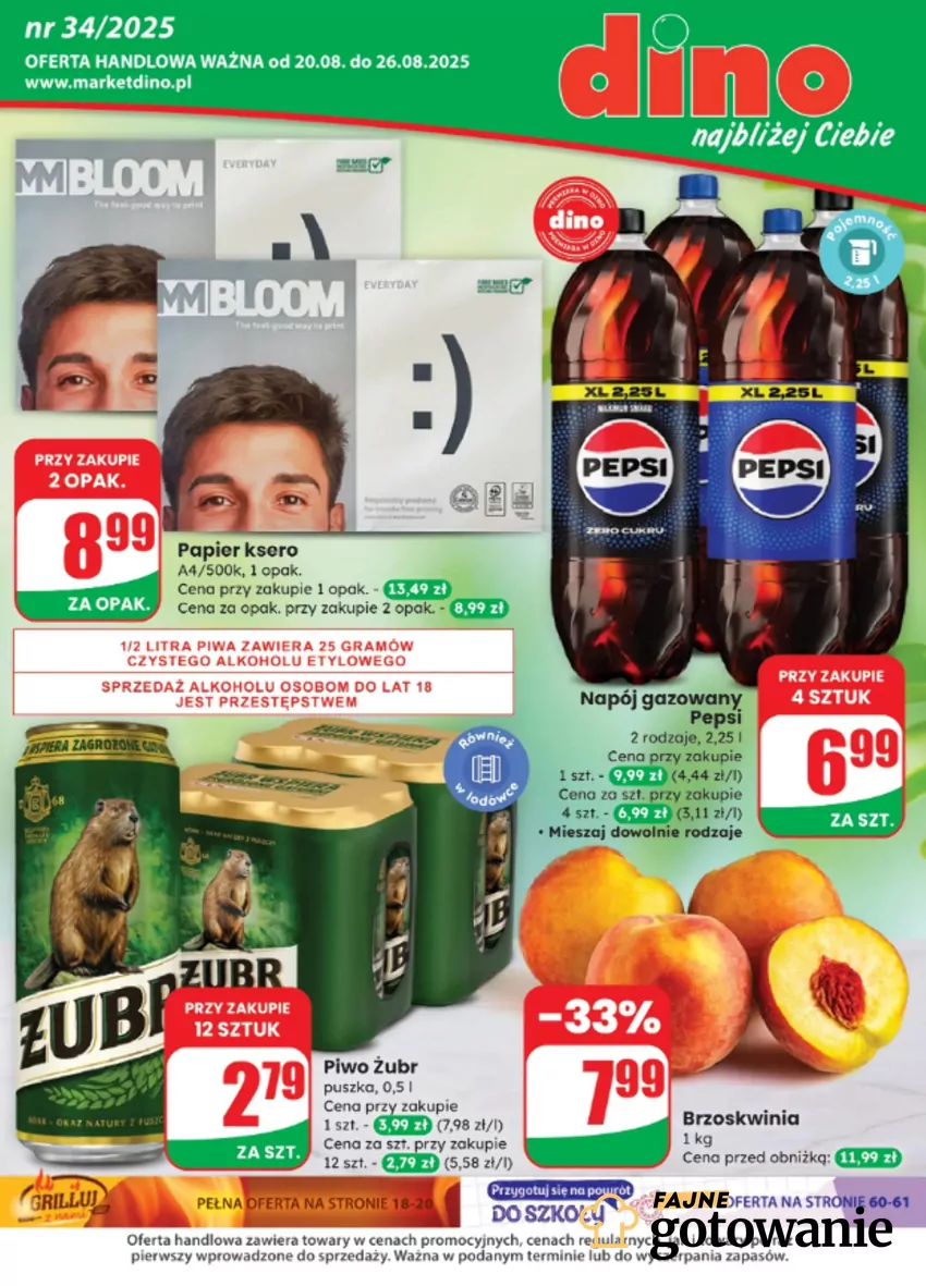 Dino - gazetka