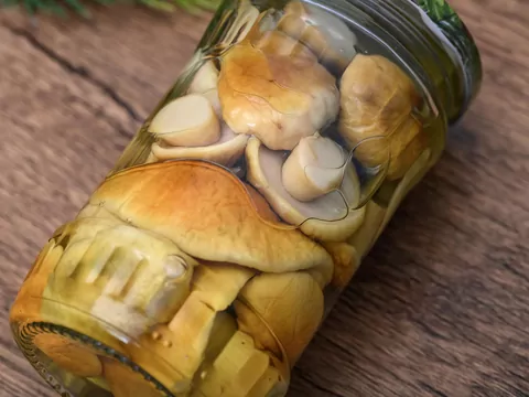 Najlepsza marynata do grzybów