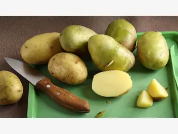 Ilustracja artykułu wystarczy grubiej obrać? to mit! zielone ziemniaki to trucizna