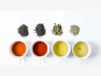 Ilustracja artykułu herbata na odchudzanie? zielona, biała czy czerwona - która będzie najlepsza?