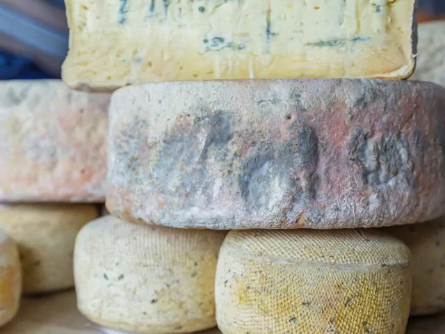 Jak rozpoznać spleśniały ser pleśniowy