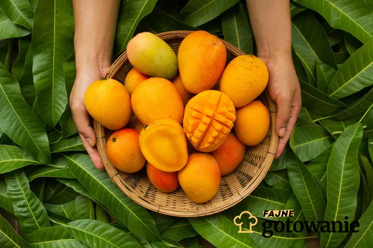 Owoce mango znajdują się w koszu