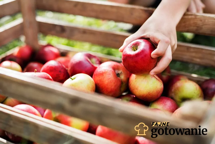 W polskiej tradycji nie sposób wyobrazić sobie szarlotki bez aromatycznych jabłek, kompotu wigilijnego bez suszonych plasterków czy racuchów bez kawałków tego owocu. Dłoń wyciągająca jabłko ze skrzynki z owocami
