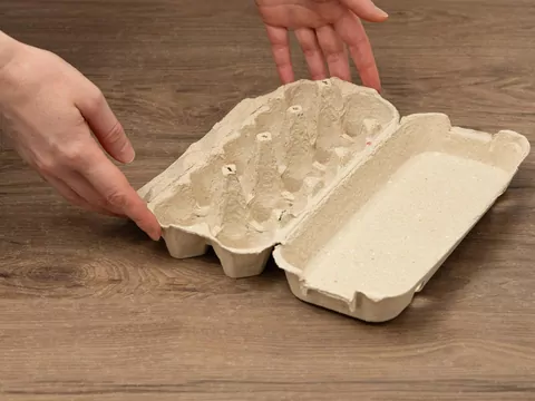 Gdzie wyrzucać opakowania po jajkach