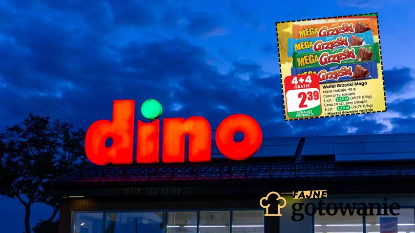 Do 21 października dużo ciekawych promocji w sieci sklepów Dino Dino - baner + gazetka Dino