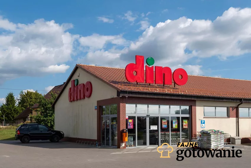 Nowa gazetka w Dino ważna do 28.10 Dino