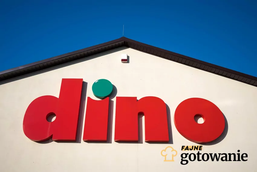 Ciekawe oferty w atrakcyjnych cenach - do 16 grudnia w Dino Dino