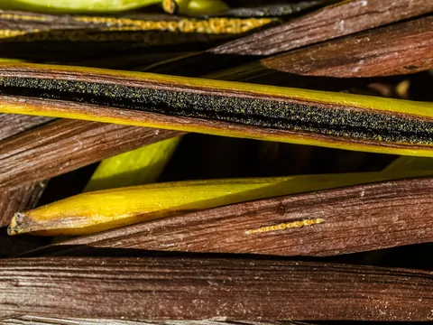 Wyjątkowo rozgrzewające przyprawy