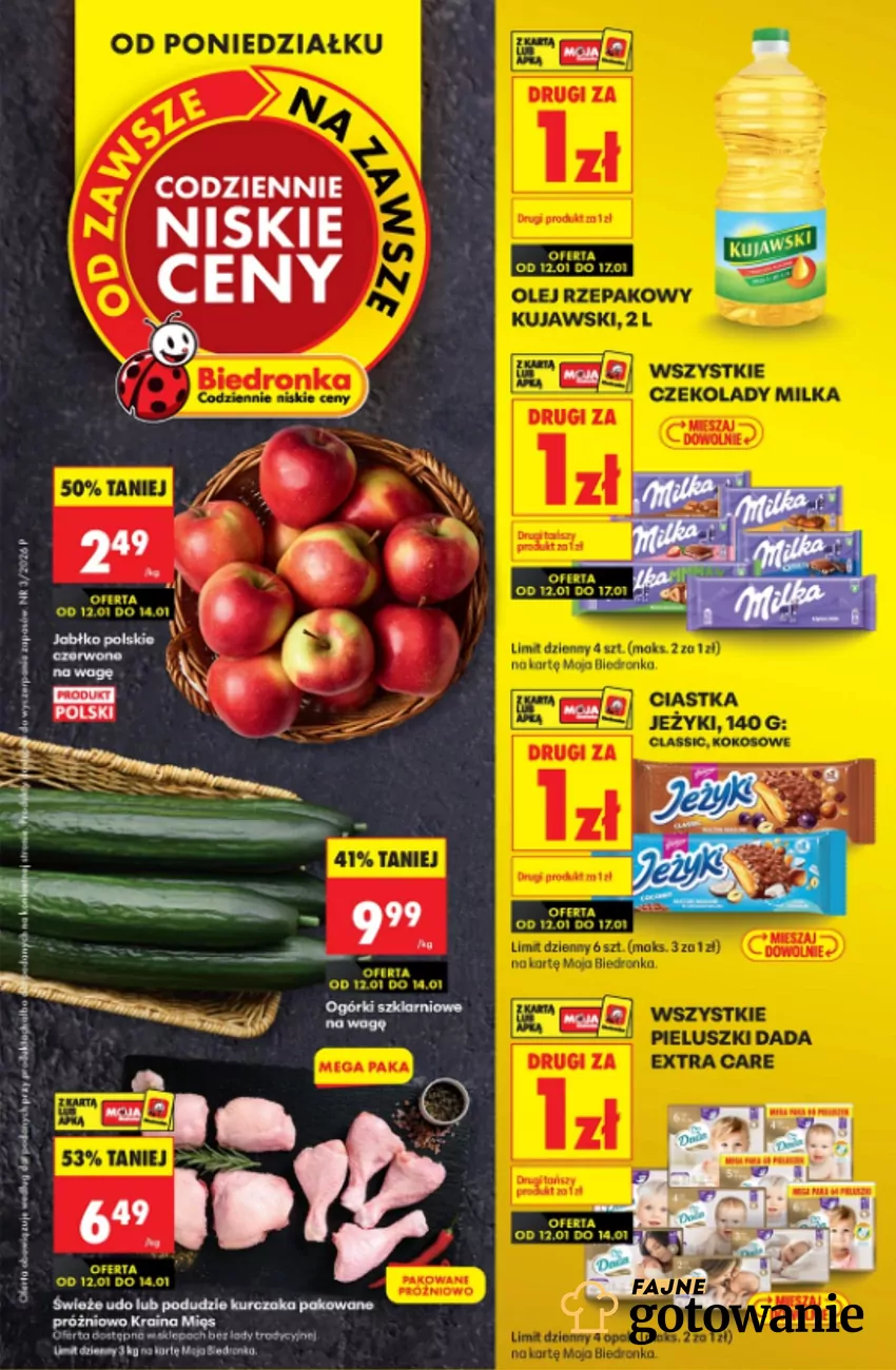Biedronka - gazetka
