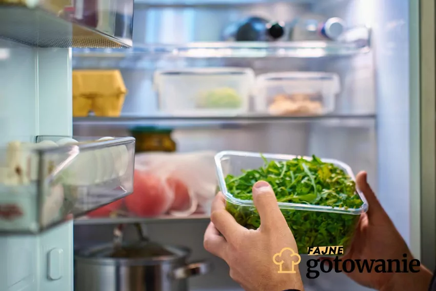 Wkładanie rukoli do lodówki
