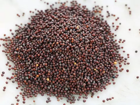 Najlepsza przyprawa do kiełbasy