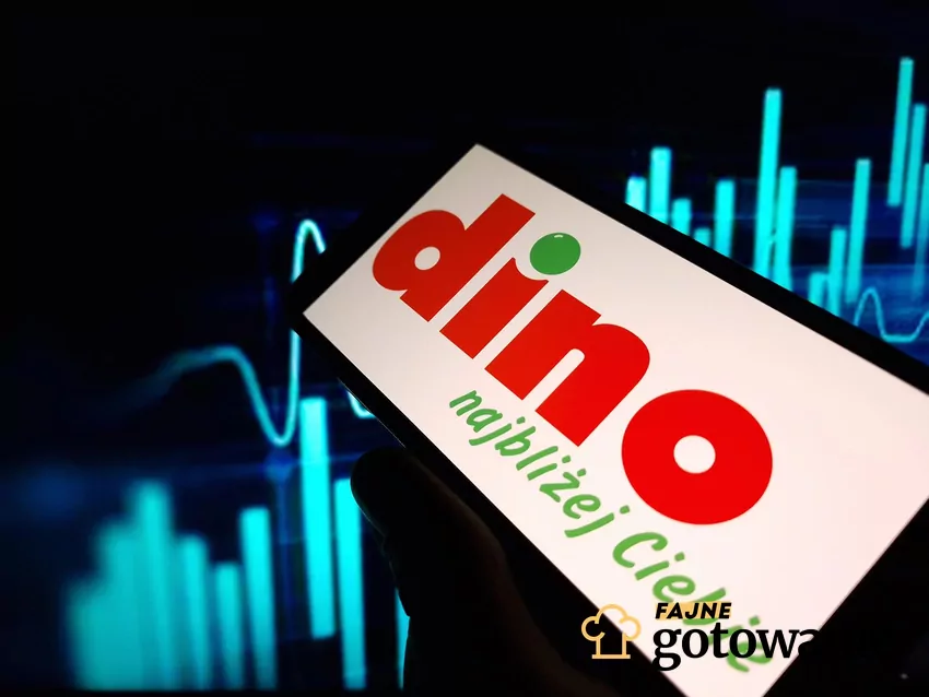 Dino - aplikacja