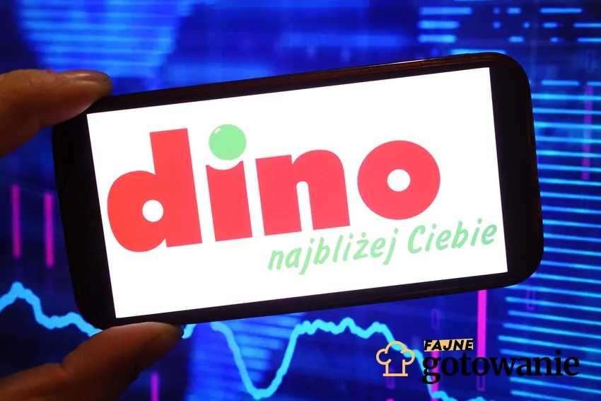 Dino - aplikacja