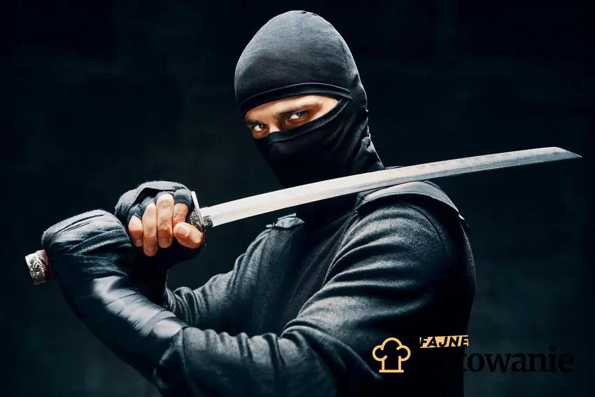 W nowej gazetce Biedronki ciekawe promocje Ninja