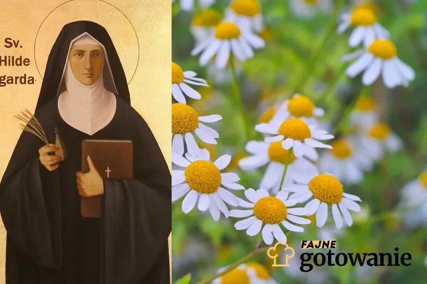Dieta św. Hildegardy opiera się na naturalnych produktach, w tym ziołach Bertram - zioło Hildegardy z Bingen