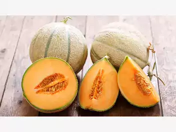 Ilustracja artykułu melon - niedoceniany w kuchni, na pewno cię zaskoczy