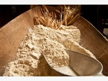 Ilustracja mąka żytnia