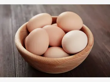 Ilustracja ile waży jajko