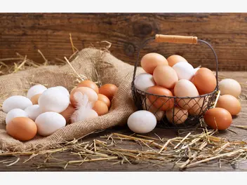 Ilustracja ile jajek jeść tygodniowo