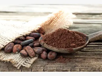 Ilustracja czy kakao jest zdrowe