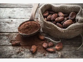 Ilustracja 50 gram kakao, ile to łyżek