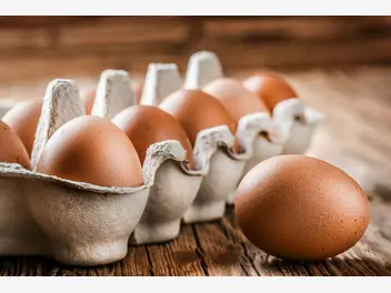 Ilustracja jak wygląda zepsute jajko