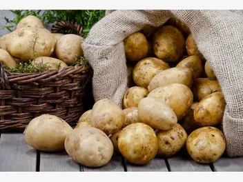 Ilustracja czy ziemniaki są zdrowe