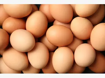 Ilustracja ile gram białka, ma jajko