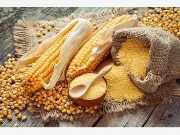 Ilustracja dania z kukurydzą