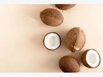 Ilustracja kokosowe