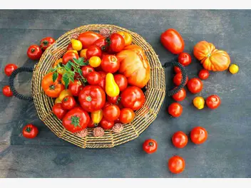 Ilustracja przepisu na: przecier z pomidorów na zimę
