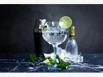 Ilustracja przepisu na: gin z tonikiem