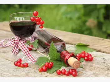 Ilustracja przepisu na: wino z czerwonej porzeczki