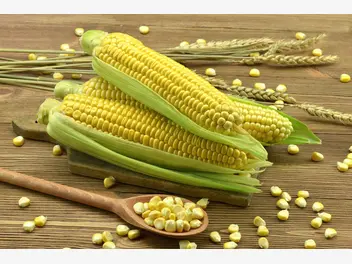 Ilustracja przepisu na: zupa krem z kukurydzy