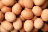 Ilustracja pytania: ile gram białka, ma jajko