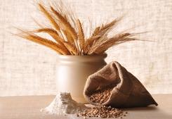 Ilustracja: mąka pszenna