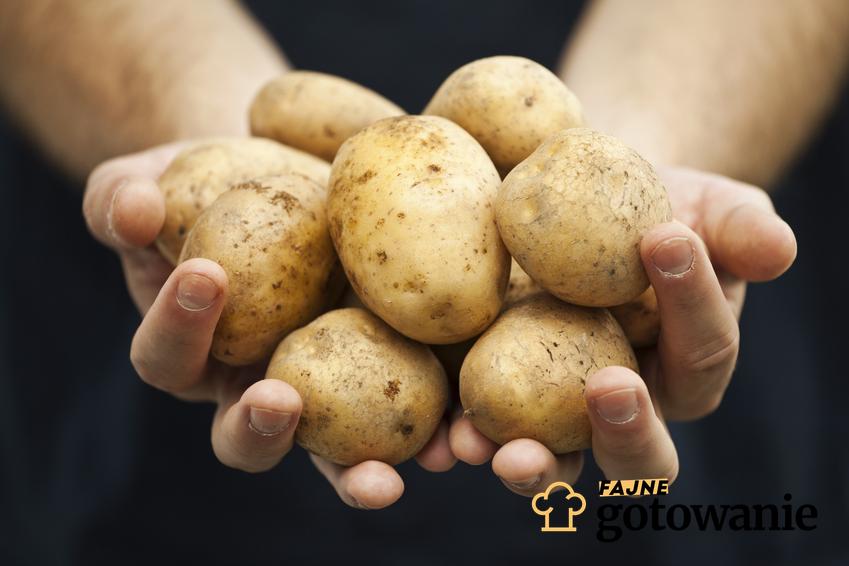 Dowiedz się, jakie wartości odżywcze są w ziemniaku oraz jakie alergie mogą powodować.