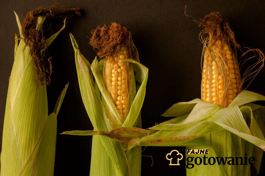 Dowiedz się, jakie wartości odżywcze są w kukurydzy oraz jakie alergie mogą powodować.